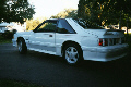 5.0 Stang's Avatar