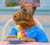 Corky's Avatar