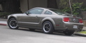 mustangv8gra's Avatar