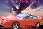 surfbeast's Avatar