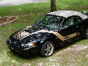 stacy's stang's Avatar