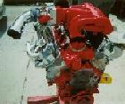 sprayedstang's Avatar